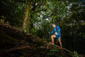 BIB: 3129, 
                            <button type="button" onclick="openModal(16016123)" class="btn btn-primary btn-sm float-right btn-popup" data-toggle="modal" data-target=".modal-high-quality">
                        <i class="fas fa-shopping-cart"></i> Add to Cart
                    </button>
                                            <button type="button" onclick="isThisMe(16016123, true)" class="btn btn-success btn-sm float-right btn-popup btn-isme hidden" data-toggle="tooltip" data-placement="bottom" title="นี่คือรูปของคุณใช่ไหม คลิกที่นี่เพื่อเอาเข้าอัลบั้ม">
                        <i class="fas fa-plus"></i> Add to album
                    </button>
                    <button type="button" onclick="isThisMe(16016123, false)" class="btn btn-warning btn-sm float-right btn-popup btn-isnotme hidden">
                        <i class="fas fa-ban"></i> Remove from album
                    </button>